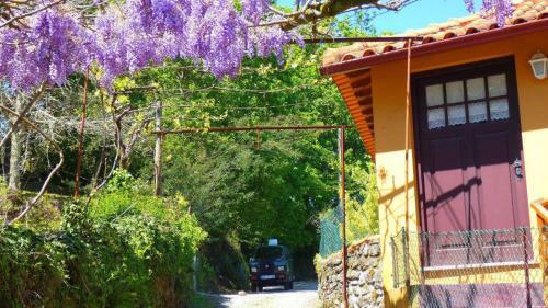 Agroturismo Lagarta Charm Rural House