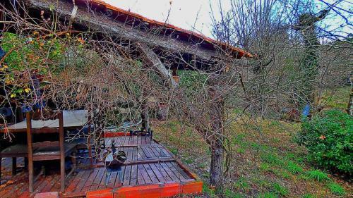 Agroturismo Lagarta Charm Rural House