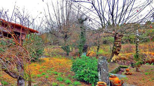 Agroturismo Lagarta Charm Rural House