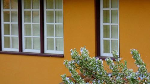 Agroturismo Lagarta Charm Rural House