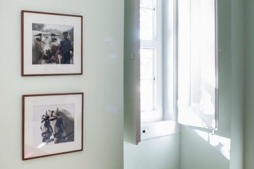 Bed & Breakfast Casa Do Vinho Sintra Guest House