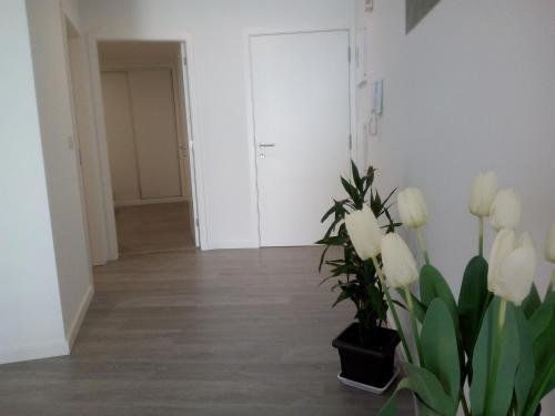 Apartamento B&B Empreendimentos Tur�sticos
