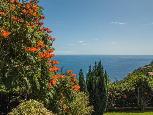Villa Quinta Girassol By Ourmadeira