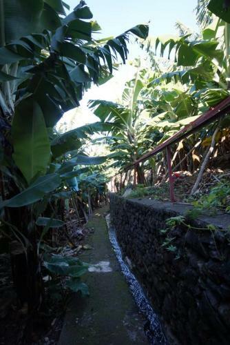 Tabua Suites I