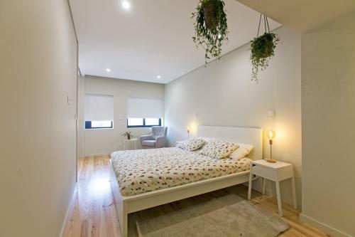 Apartamento Porto Nascente