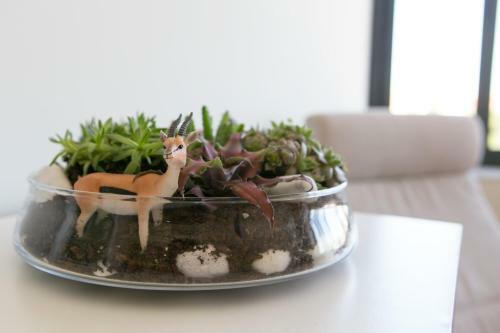 Apartamento Porto Nascente