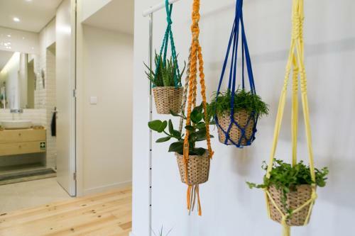 Apartamento Porto Nascente