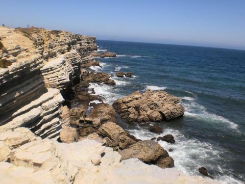 Peniche Beach Apartment - Shell