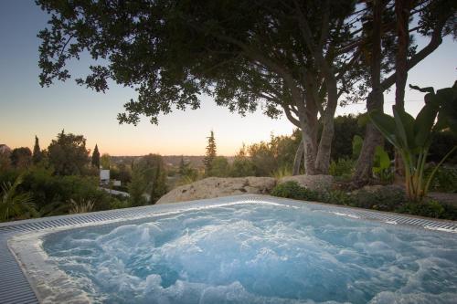 Amazing Homes & Villas - Casa Das Pedras