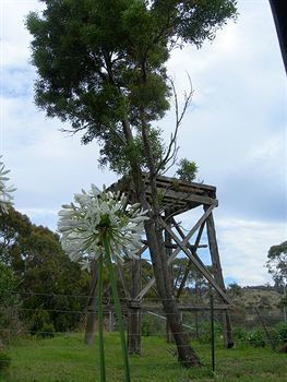 Bed & Breakfast Redcliffe House