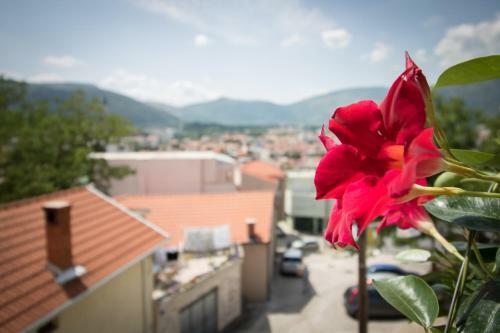 Hotel Old Town