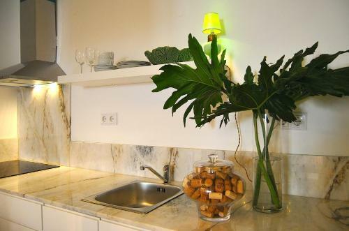 Ama Apartments
