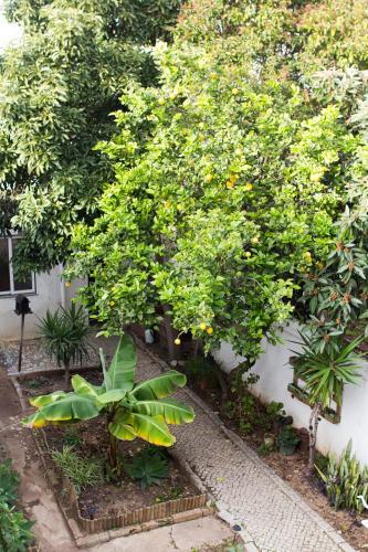 Albergue Well'come! To The Backyard House