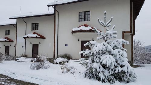 Hotel Bansko Castle Lodge