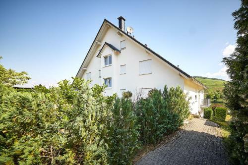 Apartamento Moselschleife