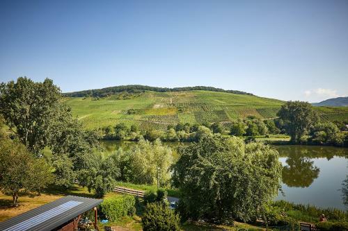 Apartamento Moselschleife