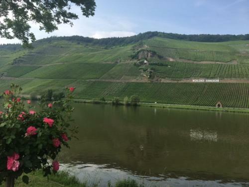 Apartamento Ferienwohnung Mosel