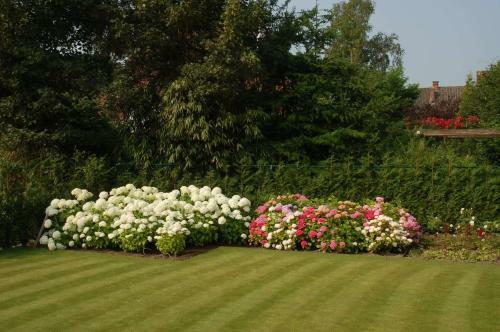 Bed & Breakfast Bloemenweelde