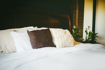 Tall Trees Bed & Breakfast