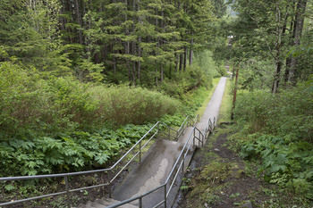 Tall Trees Bed & Breakfast