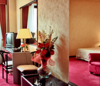 Hotel Amadeus