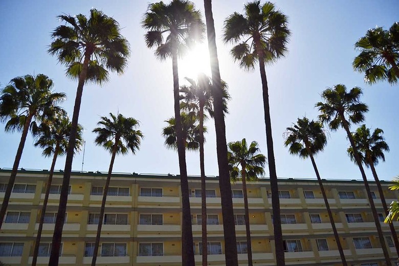 Apartamentos Playa Del Sol S�lo Adultos