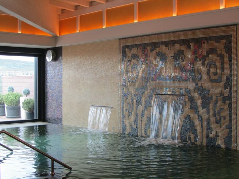 Hotel & Spa Balfag�n
