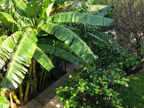 Hostal Rose Gardens Boutique & Pool & Restaurant