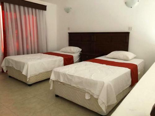 Hostal Rose Gardens Boutique & Pool & Restaurant