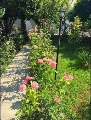 Hostal Rose Gardens Boutique & Pool & Restaurant