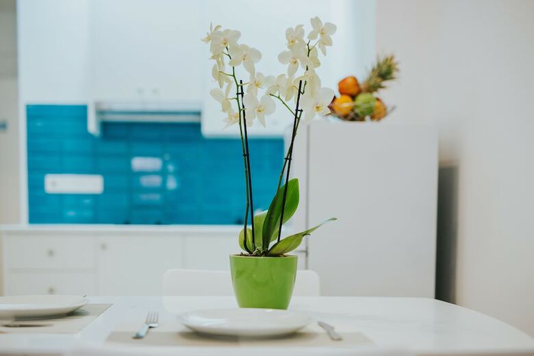 Apartamento Stephanie Studios