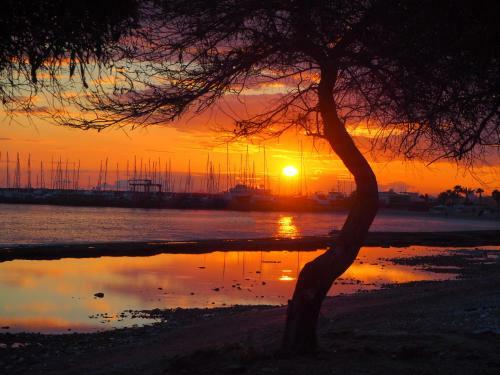 Leto Beachvilla