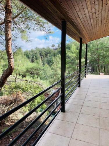 Villa Jasmin House