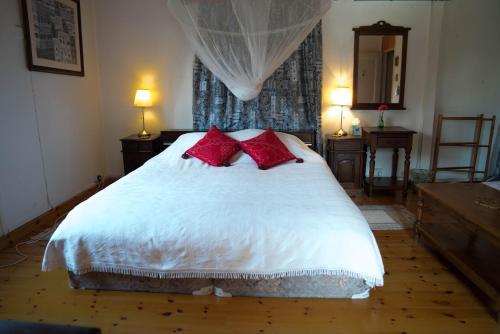 Dynot B&B