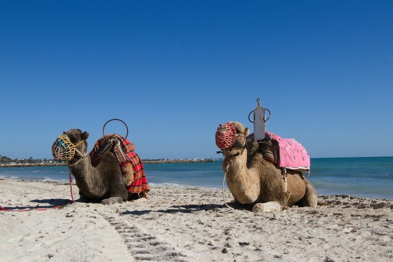 Jet Eldo Hotel Aladin Djerba