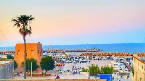 Hostal La Terrazza Sul Porto (salento)