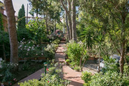 Bed & Breakfast Terrazze D'aci