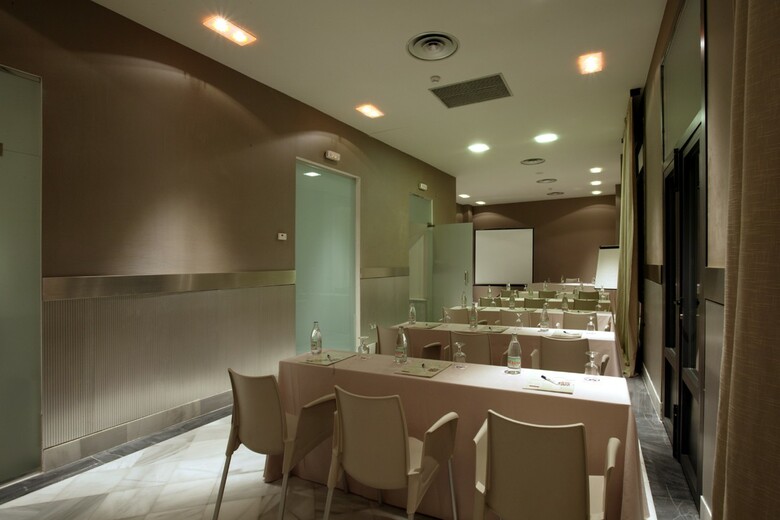 Hotel Petit Palace Marqu�s Santa Ana