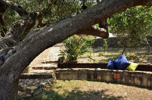 Terrazza Degli Angeli