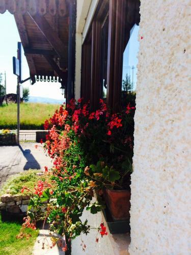 Hotel Albergo Rutzer