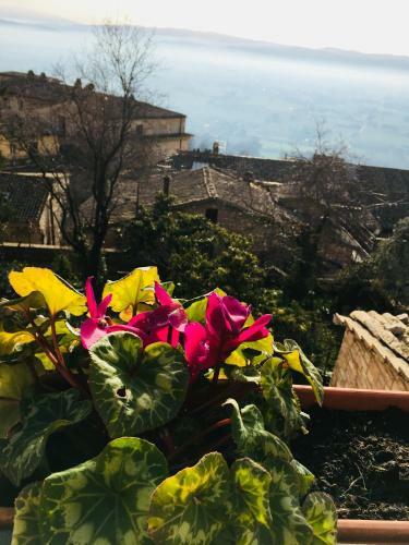 Hotel Posta Panoramic Assisi