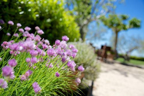 Apartamento Country House Le Colombe Assisi
