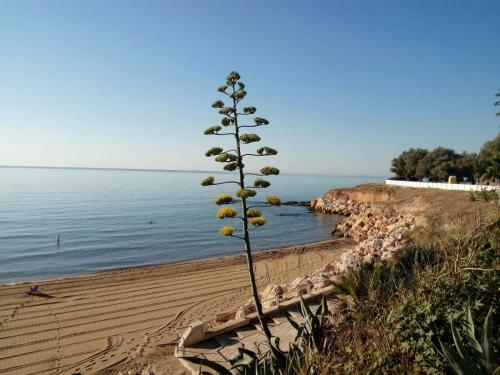 Apartamento Villa Del Mar