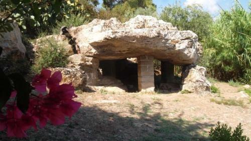 Casa Vacanze Robinson