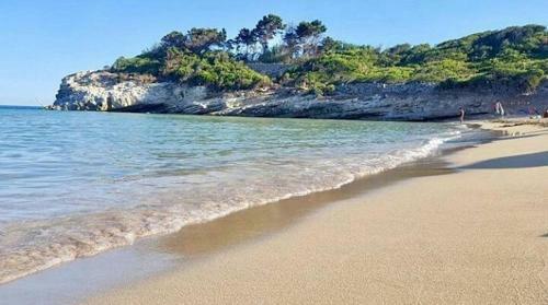 Casa Vacanze Robinson