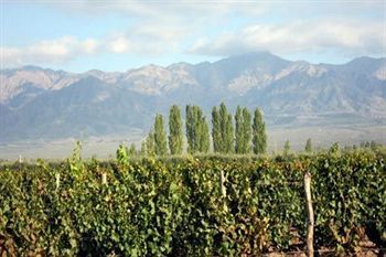 Villa Mansa Wine Hotel