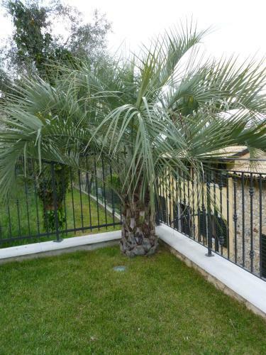 Apartamento Appartamento Sole