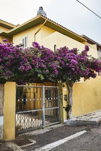 Apartamento Iris1