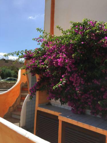 Apartamento Stella Marina