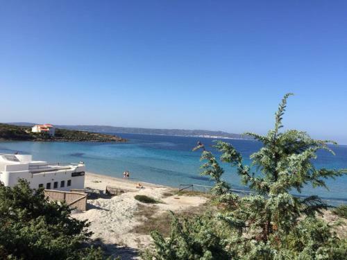 Apartamento C� Celeste